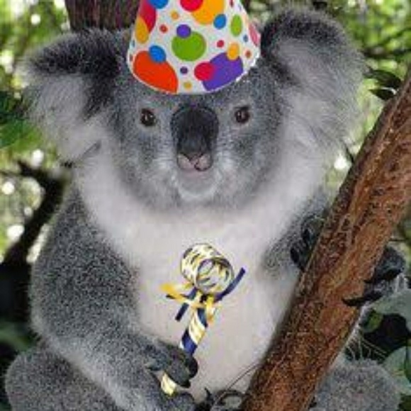 Meet your Posher, Adele - Picture 1 of 1